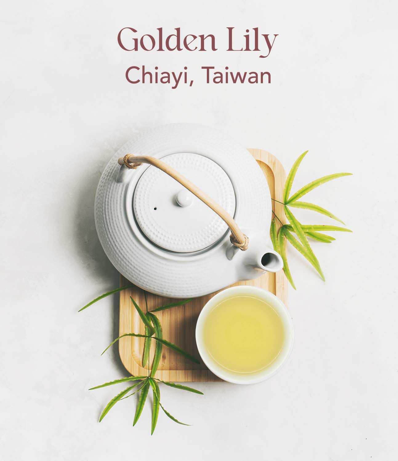 Golden Lily