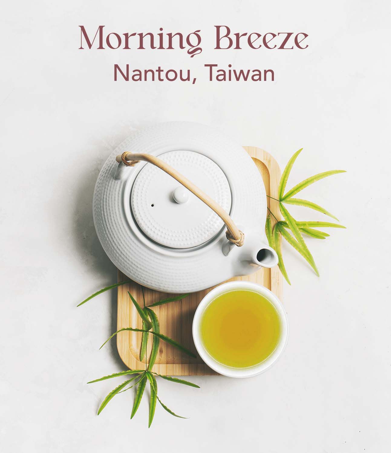 Morning Breeze